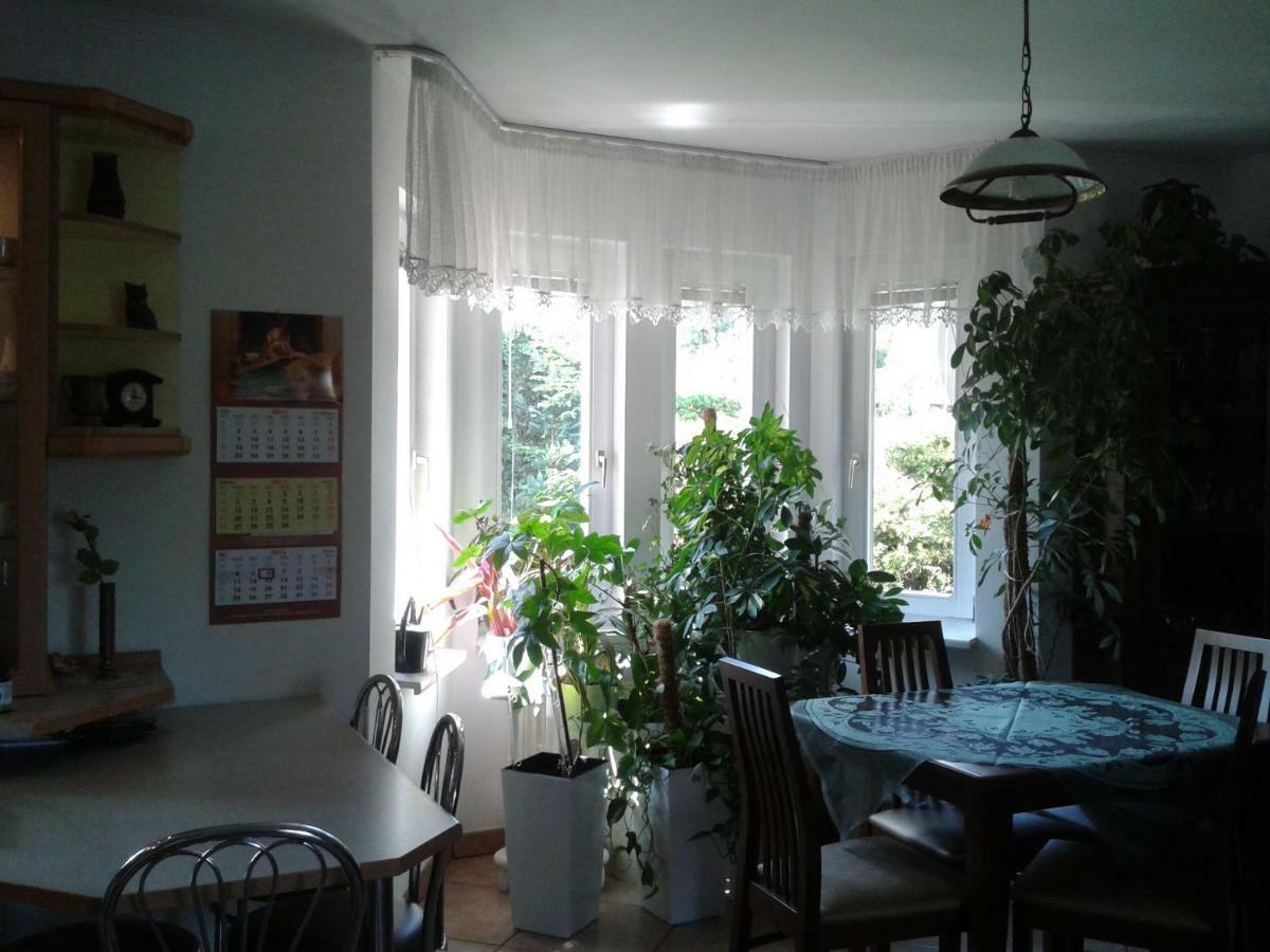 Dom Na Skarpie Wierzbica (Legionowo) Exterior foto